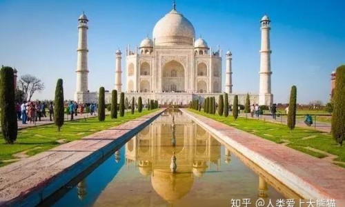 药用菊花分类-药用菊花分网 | 药用菊花种植技术与栽培管理,药用菊花分类品种